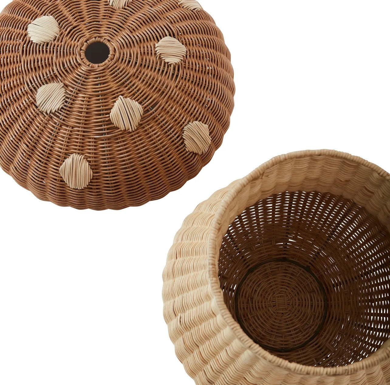 Rotan paddenstoel