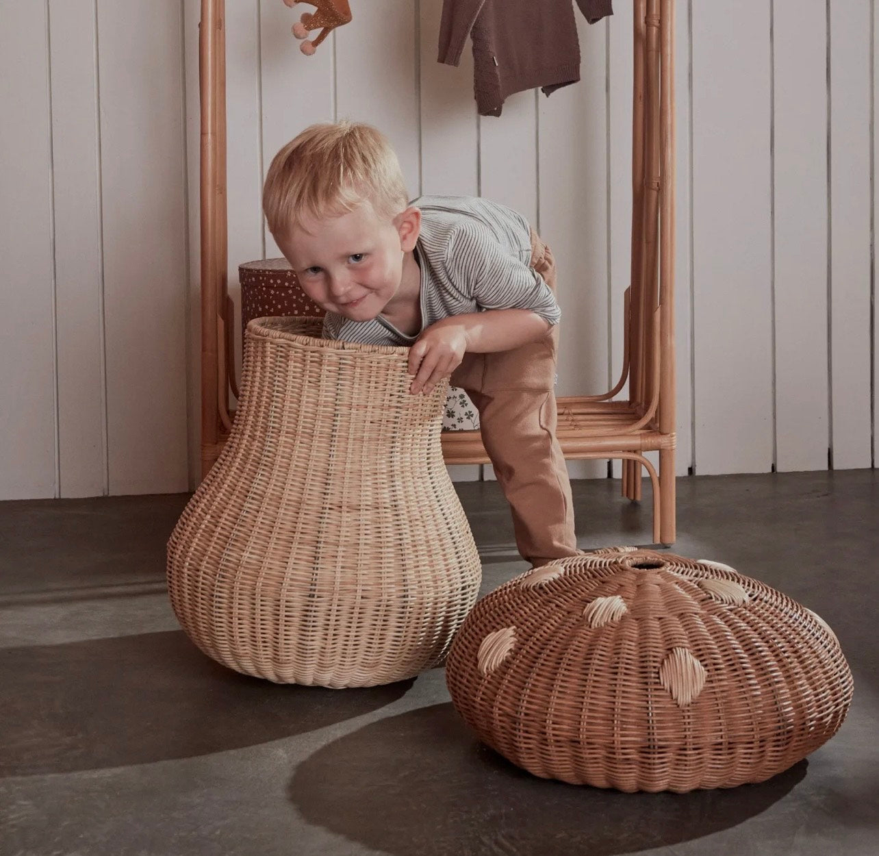 Rotan paddenstoel
