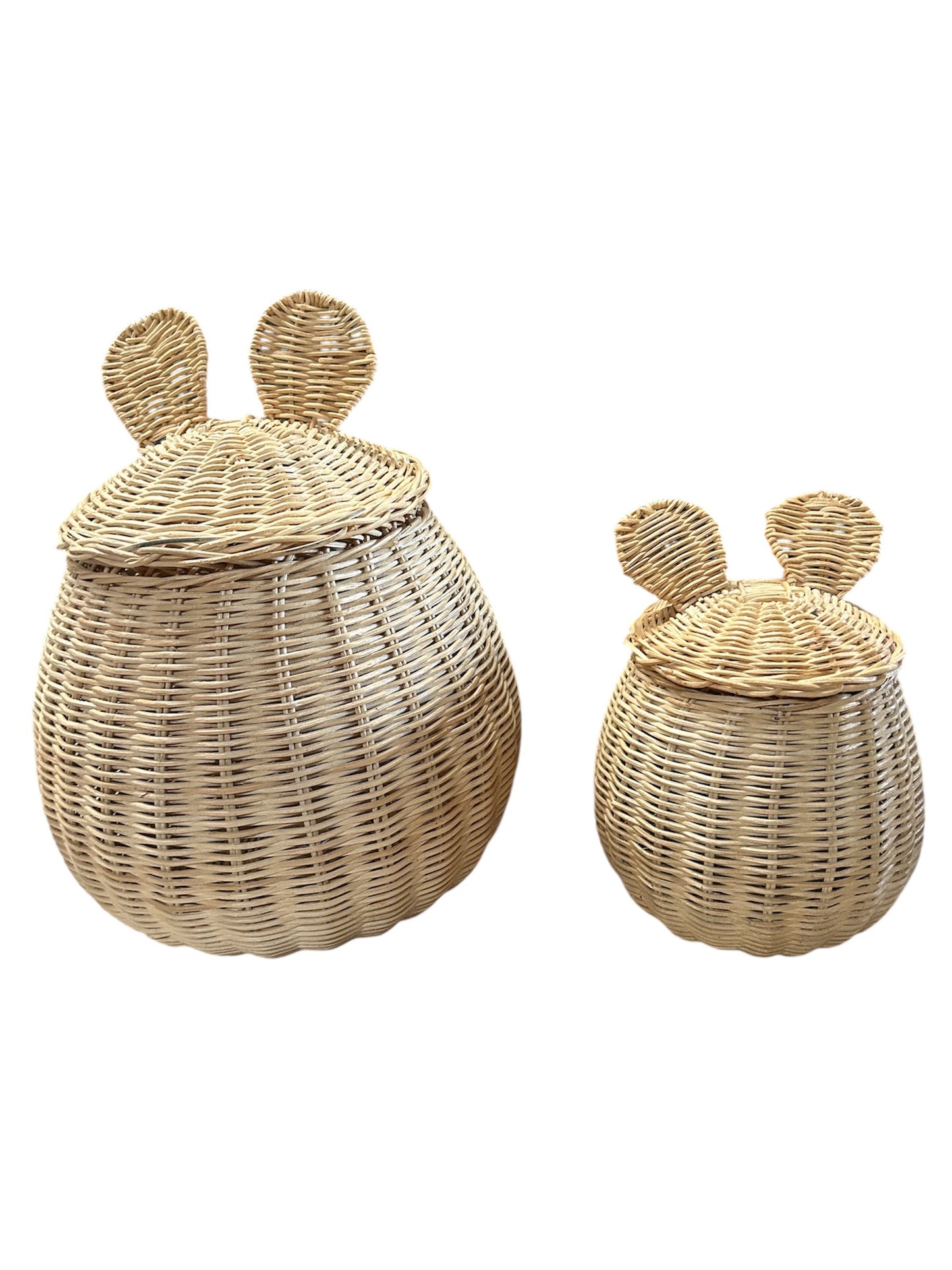 Rotan Mandenset Mickey